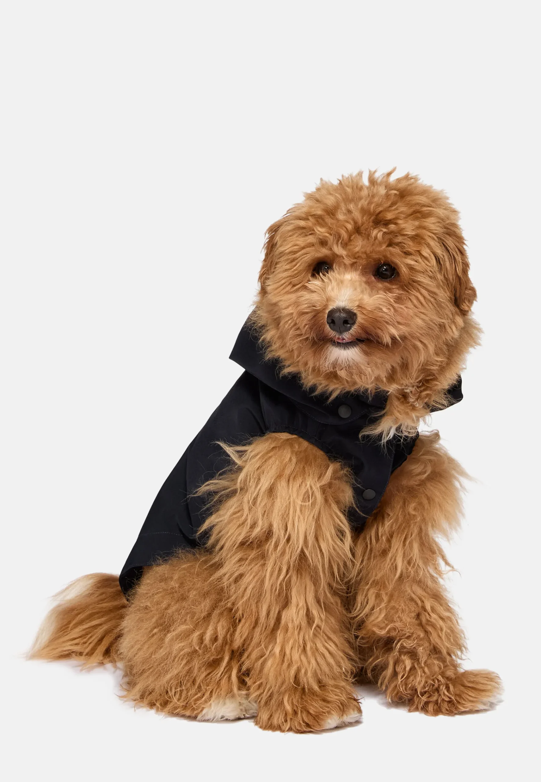 Imperméable Technique Pour Chien