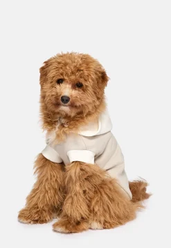 Sweat-Shirt À Capuche Pour Chien En Coton